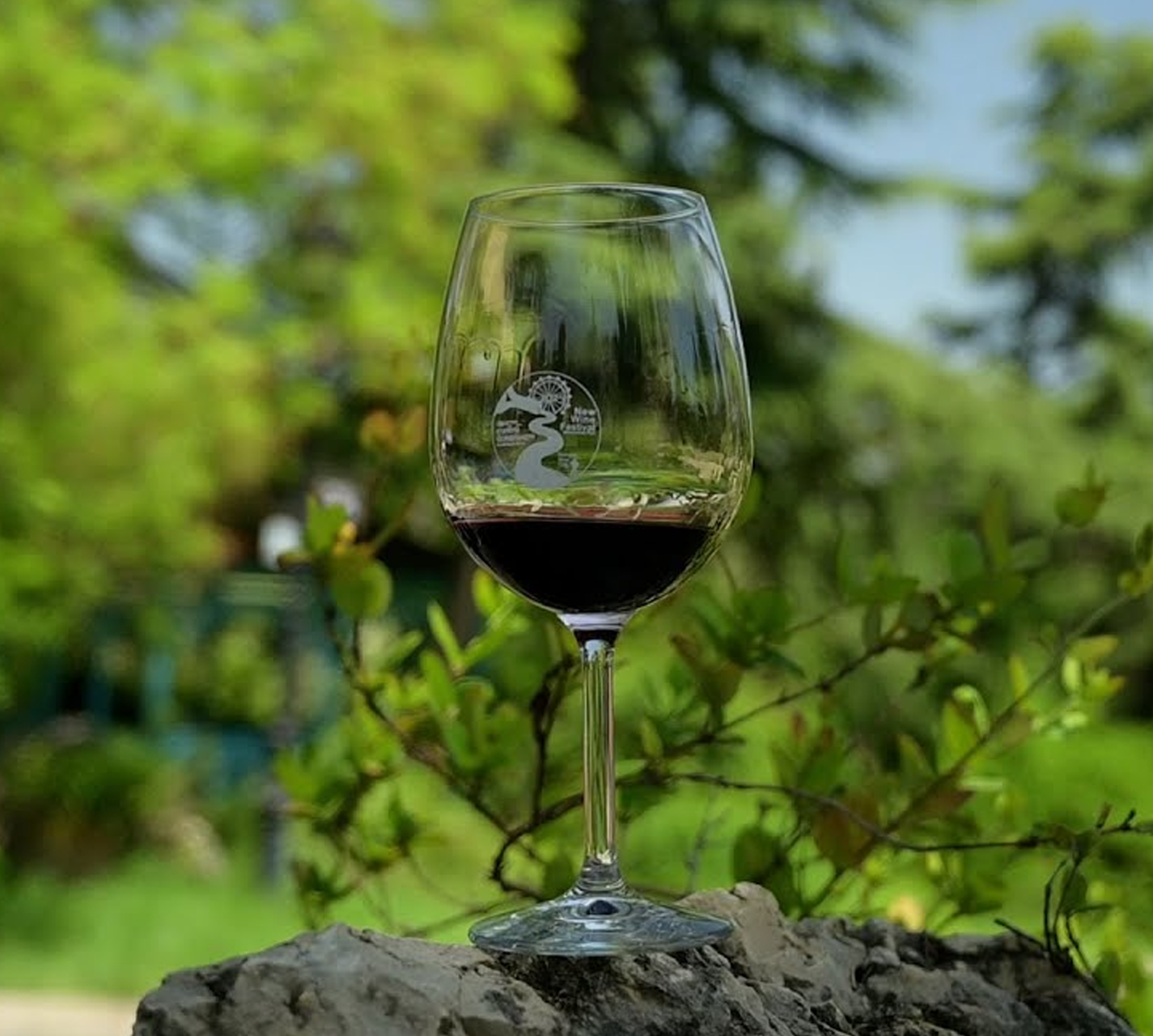 პირველი რთველი