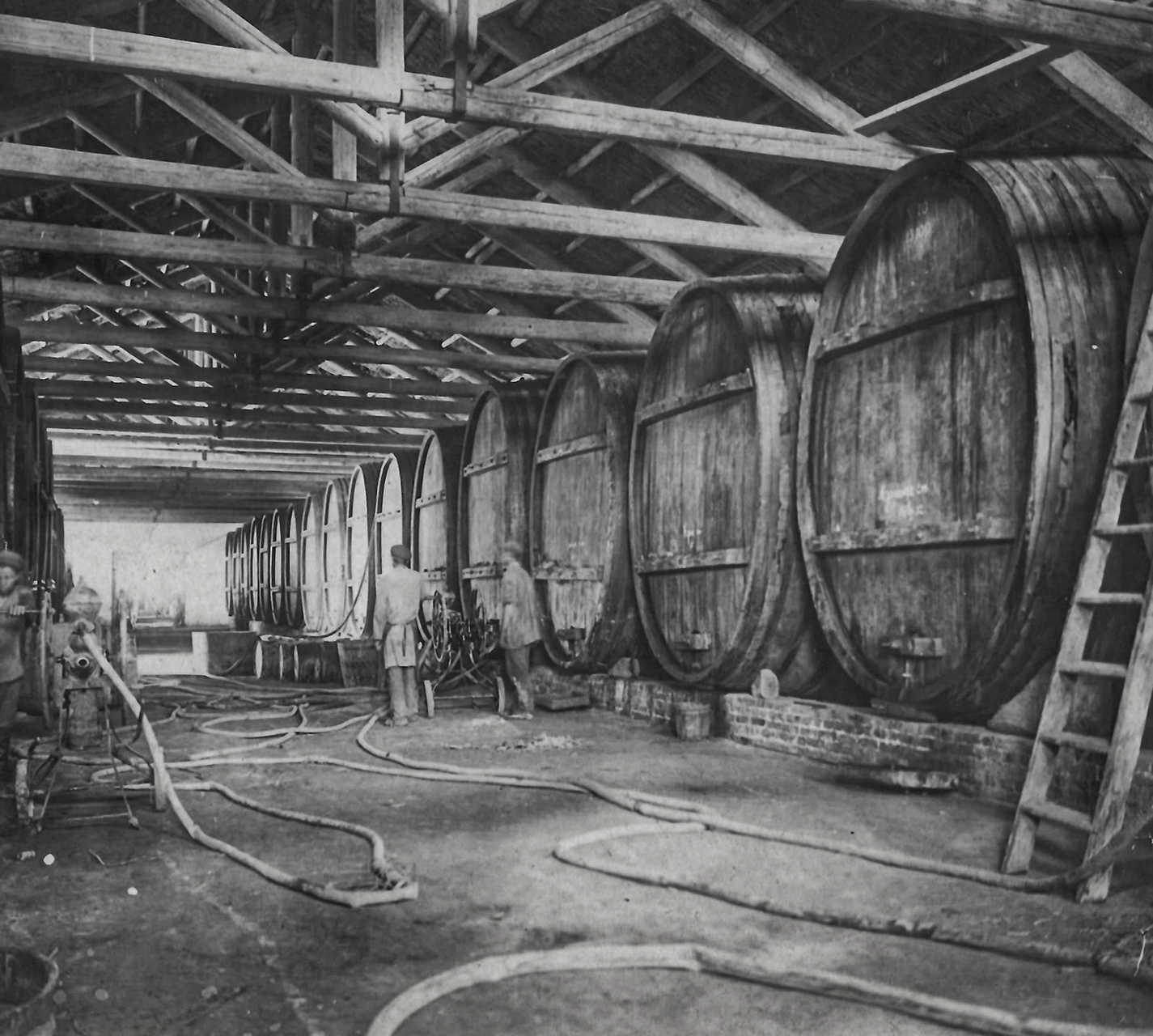 ხვალინდელი ხედვა